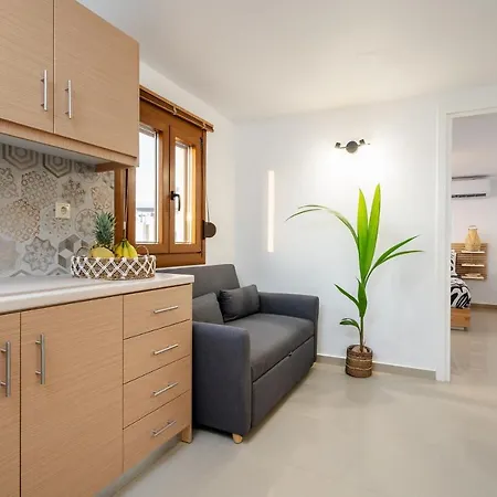 Lägenhetshotell Naxosair1 3*