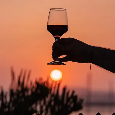 Lägenhetshotell Naxosair1 3*